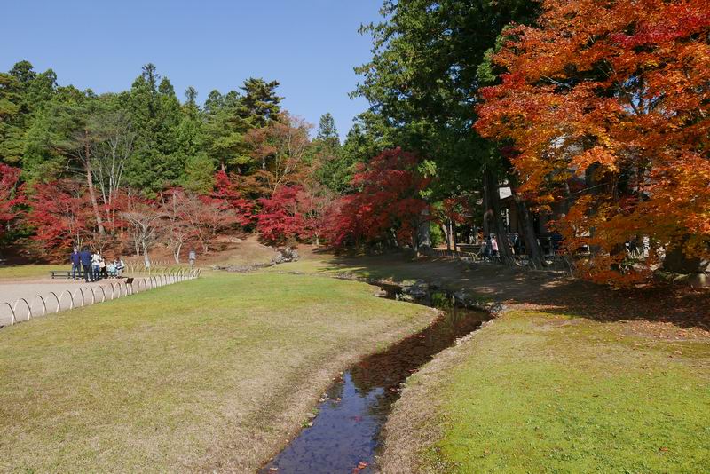 毛越寺大泉ヶ池紅葉の風景