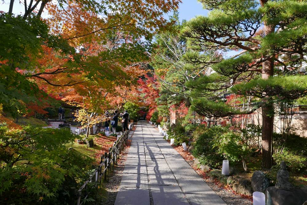 松島観光円通院の紅葉写真画像1