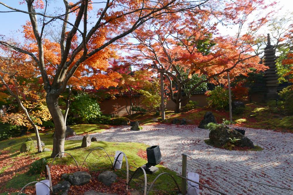 松島観光円通院の紅葉敷き詰めた石写真画像