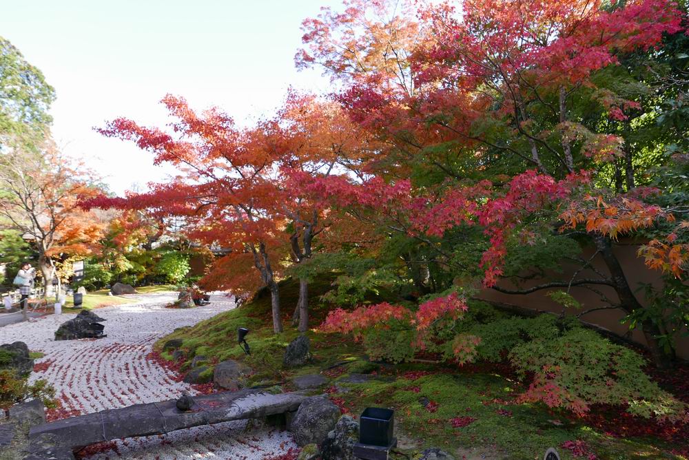 松島観光円通院の紅葉楓（？）の赤が鮮やかな写真画像