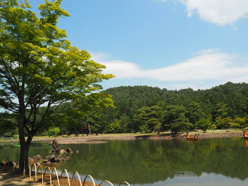 毛越寺の初夏の大泉が池の風景写真